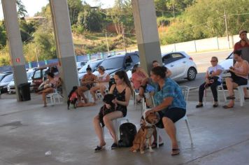 Foto - CAMPANHA DE CASTRAÇÃO 2023