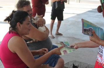 Foto - CAMPANHA DE CASTRAÇÃO 2023