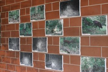 Foto - De Férias no Parque no Bairro Capelinha