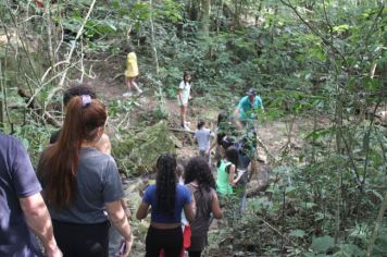 Foto - De Férias no Parque no Bairro Capelinha