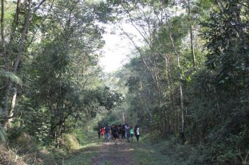 Foto - De Férias no Parque no Bairro Capelinha