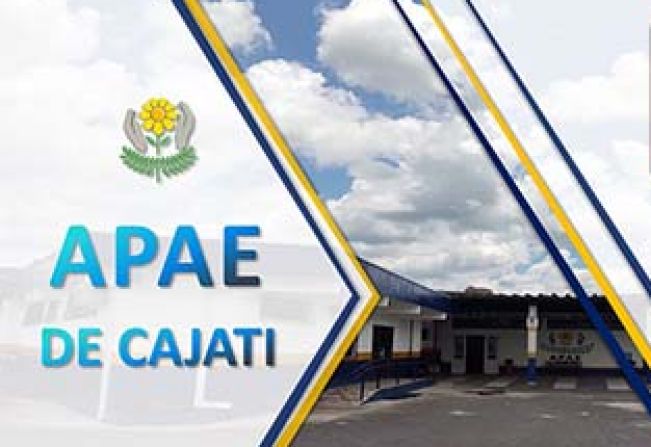 APAE realiza a prestação de contas online do exercício de 2020; participe!