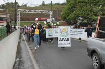 Foto - 1ª Caminhada pela Inclusão Cordão de Girassol 