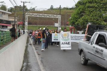 Foto - 1ª Caminhada pela Inclusão Cordão de Girassol 