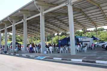 Foto - CAMPANHA DE CASTRAÇÃO 2024