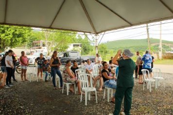Foto - Campanha de Castração 2023