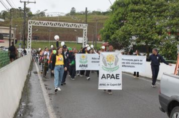 Foto - 1ª Caminhada pela Inclusão Cordão de Girassol 