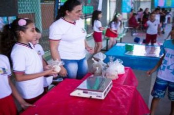 Foto - Feira Cultural O Universo da Matemática 2019