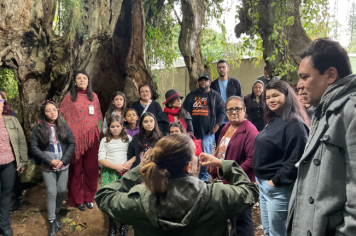 Foto - Sessão de Autógrafos - Árvore Guararema