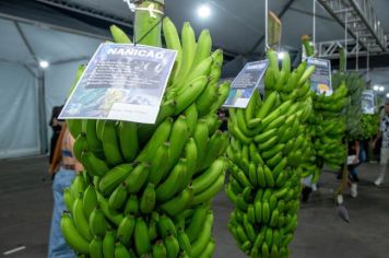 Foto - Cajati, 32 anos, Maiara e Maraísa - 17 de maio