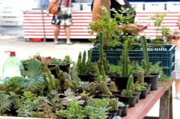 Foto - Feira Livre de Cajati em novo local