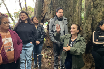 Foto - Sessão de Autógrafos - Árvore Guararema