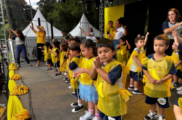 Foto - Cajati, Terra da Banana -Saberes e Sabores