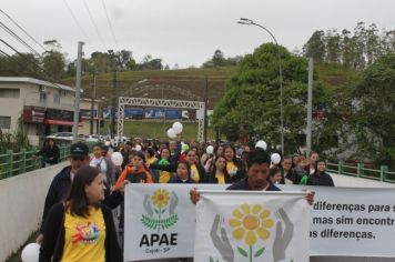 Foto - 1ª Caminhada pela Inclusão Cordão de Girassol 