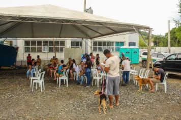 Foto - Campanha de Castração 2023