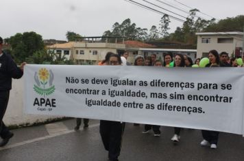 Foto - 1ª Caminhada pela Inclusão Cordão de Girassol 