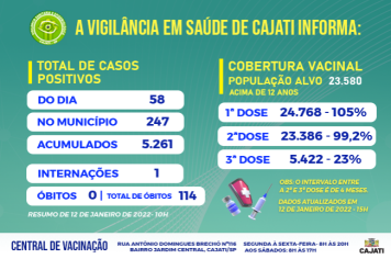 Números da COVID-19 em Cajati