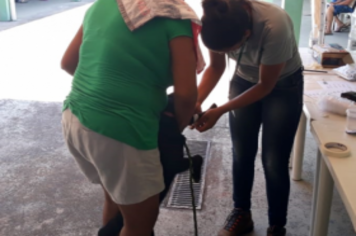 Sábado é dia de consulta para pets que participaram da Campanha de Castração