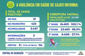 Números da COVID-19 em Cajati
