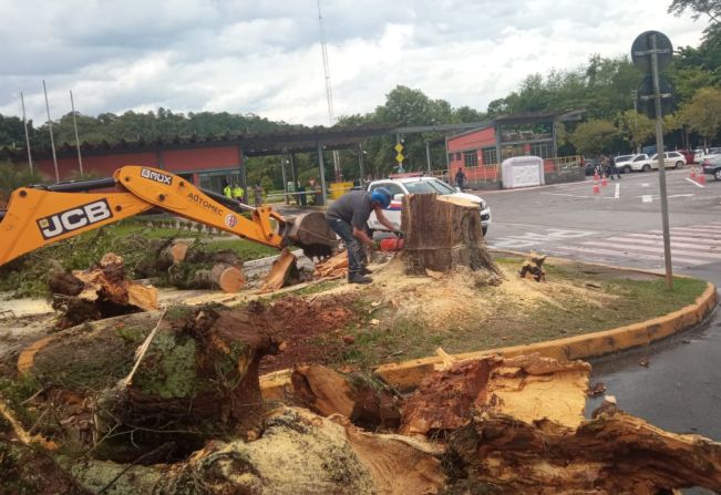 Serviços Municipais realiza manutenções em Cajati após ventania